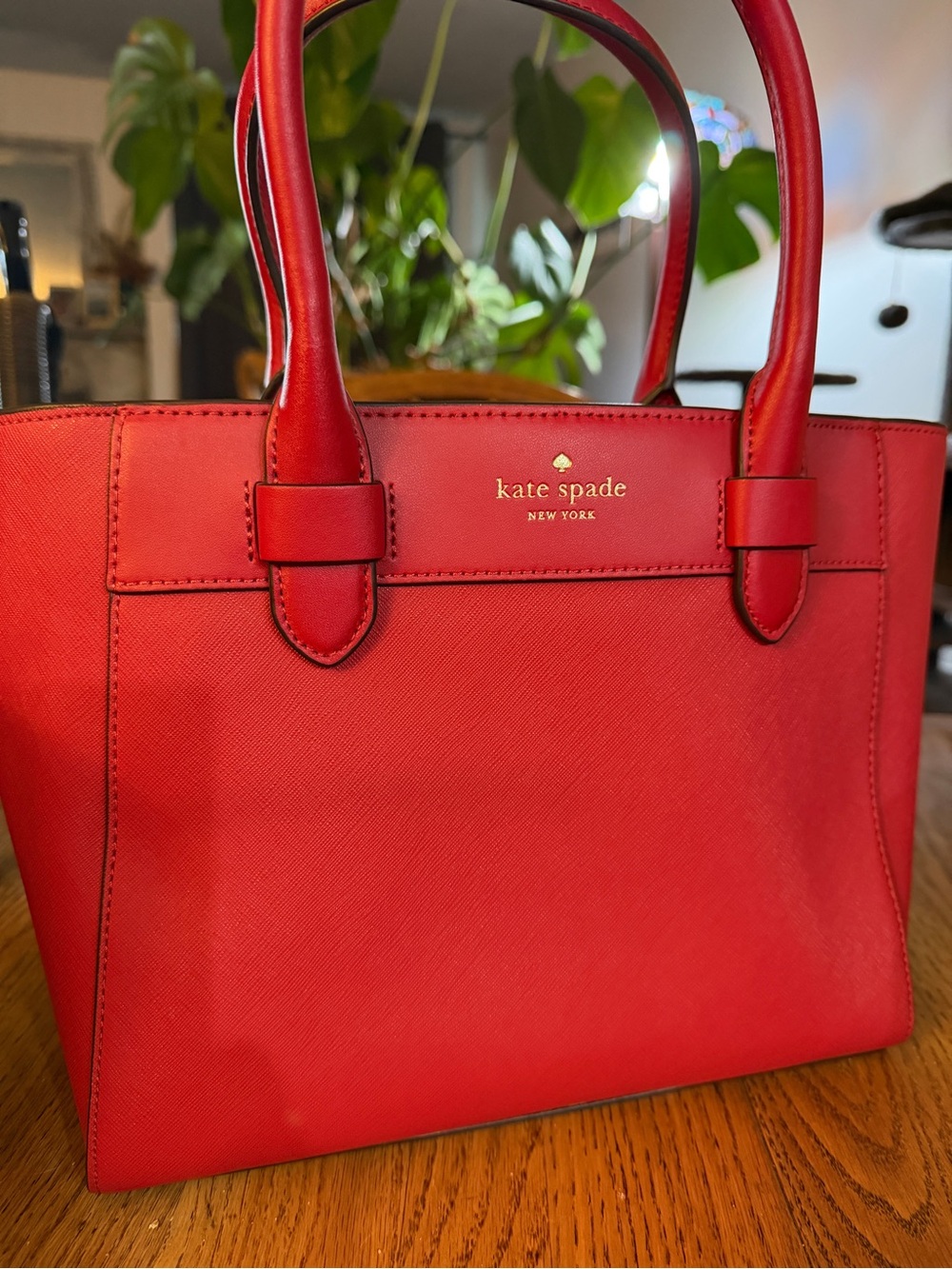 Kate Spade Melanie Satchel in Candied Cherry